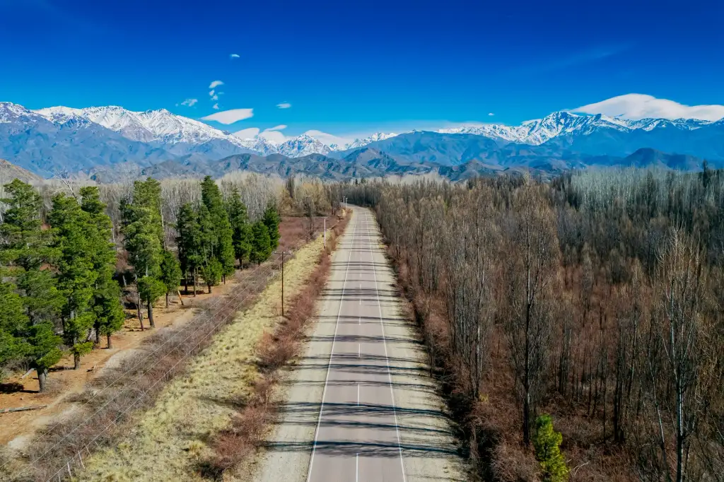 Ruta hacia la cordillera de los Andes en Mendoza, un destino para recorrer en auto de alquiler